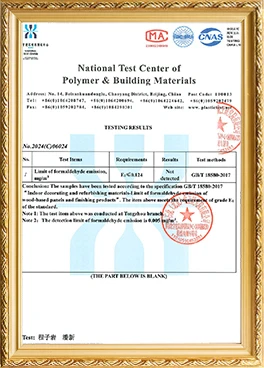 WPC English Test 2
